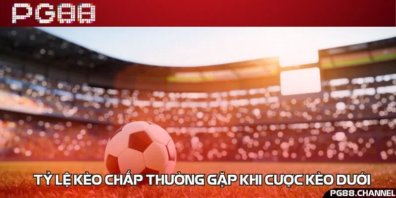 Tổng hợp top 4 tỷ lệ cược hấp dẫn nhất tại nhà cái